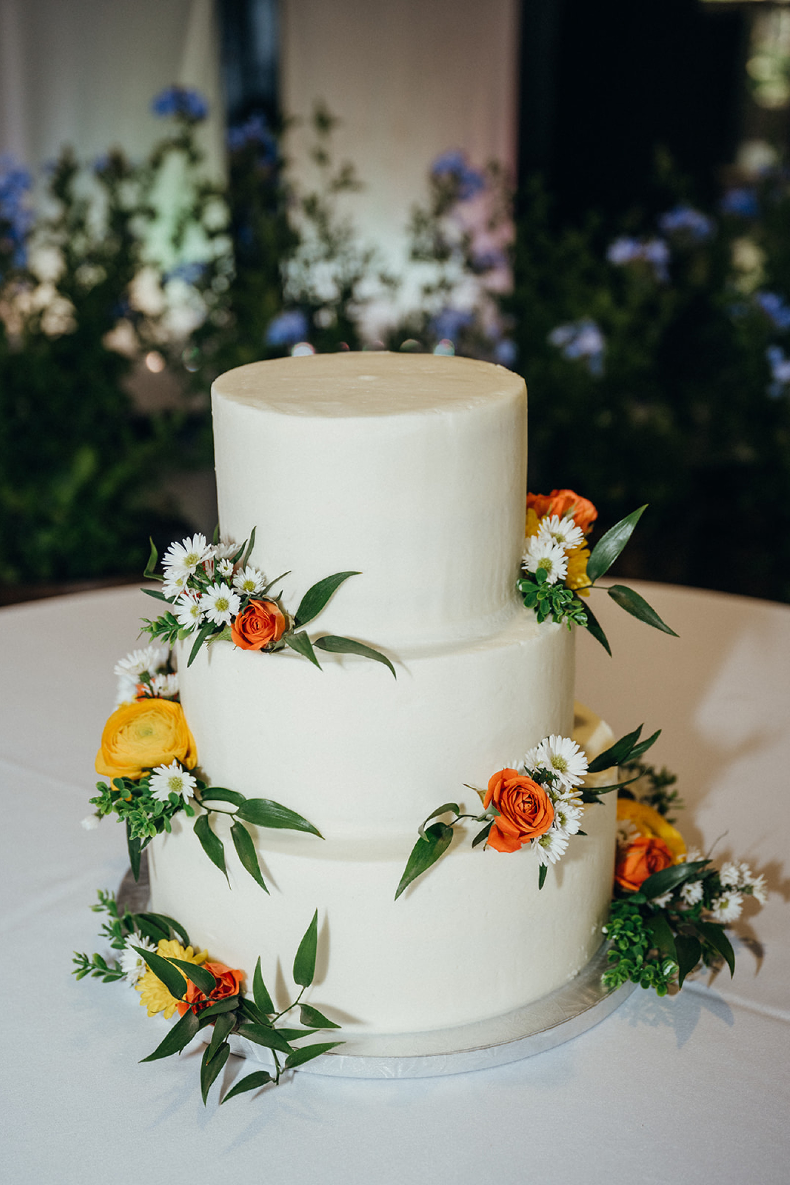 Blessed Magnolia Wedding Planner In Ocala FL Savvy Wedding Guide blessed-magnolia-wedding-planner-in-ocala-fl-savvy-wedding-guide