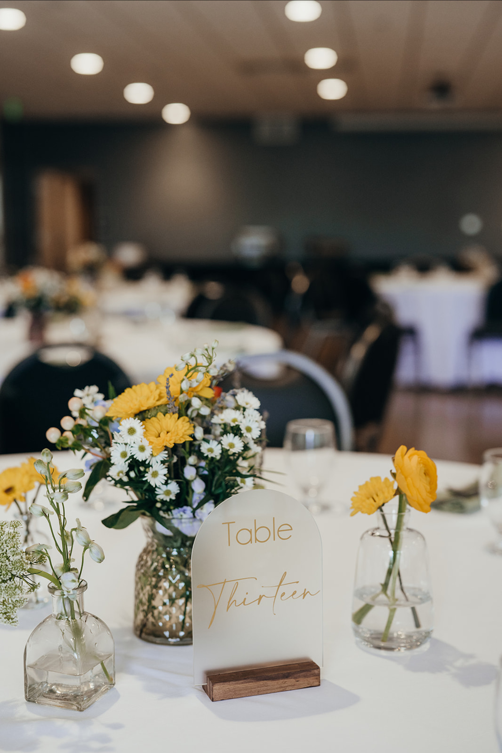 Blessed Magnolia Wedding Planner In Ocala FL Savvy Wedding Guide blessed-magnolia-wedding-planner-in-ocala-fl-savvy-wedding-guide